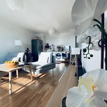 Cozy Direct Access To Paris, Ps5, Fiber Optic