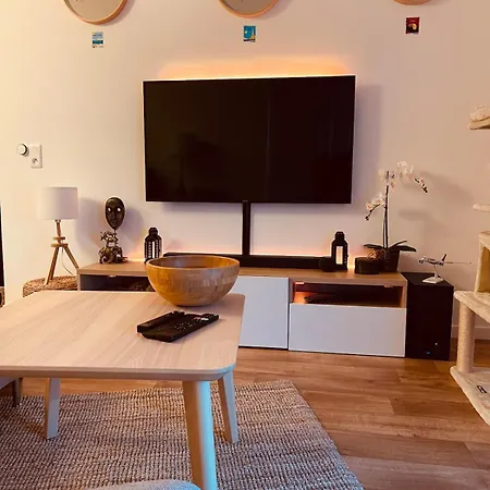 Cozy Direct Access To Paris, Ps5, Fiber Optic Μελάν